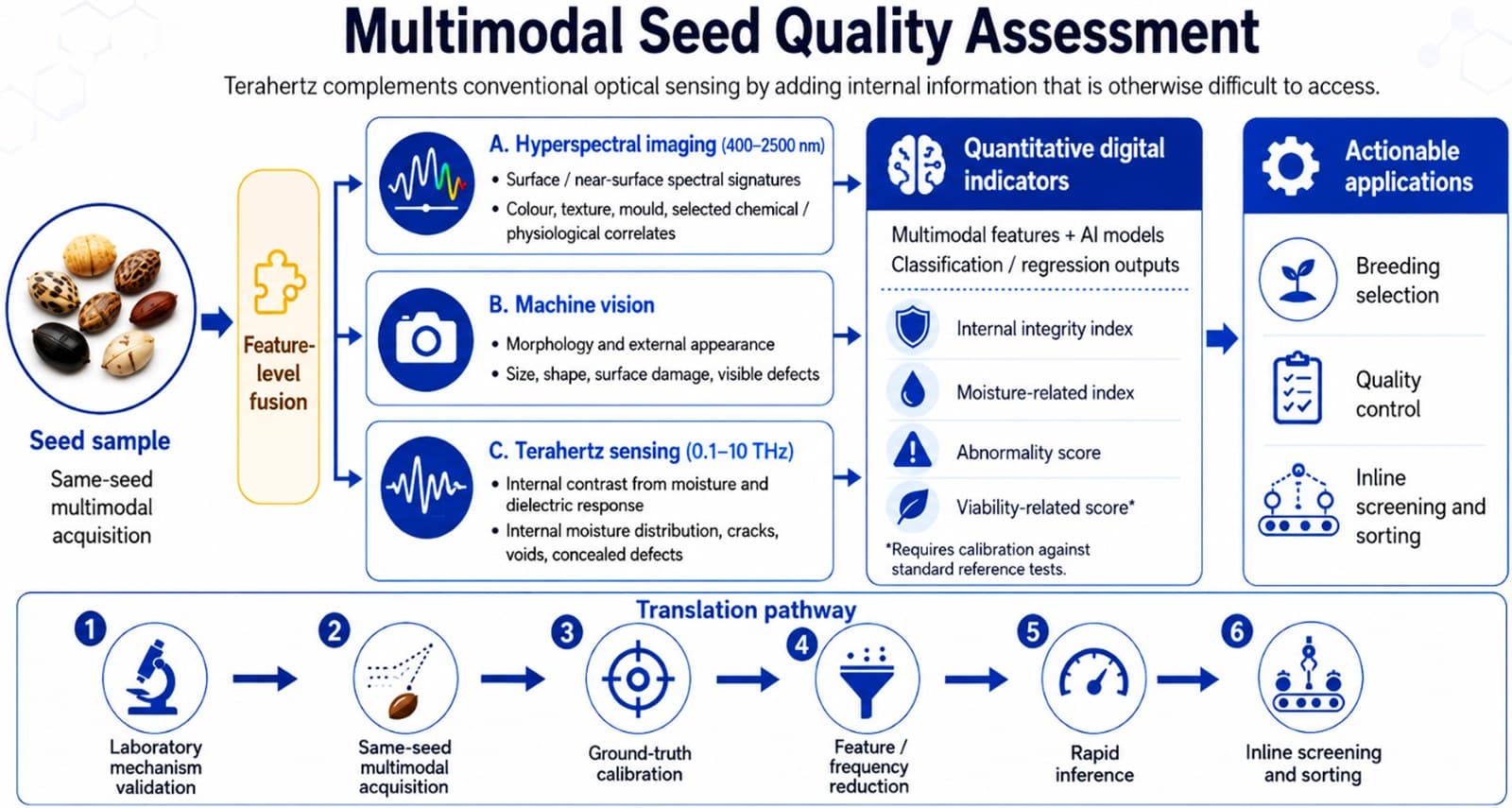 Multimodal seed quality assessment: same-seed hyperspectral, machine-vision and terahertz acquisition fused into quantitative indicators for breeding selection, quality control and inline sorting, with a six-step translation pathway