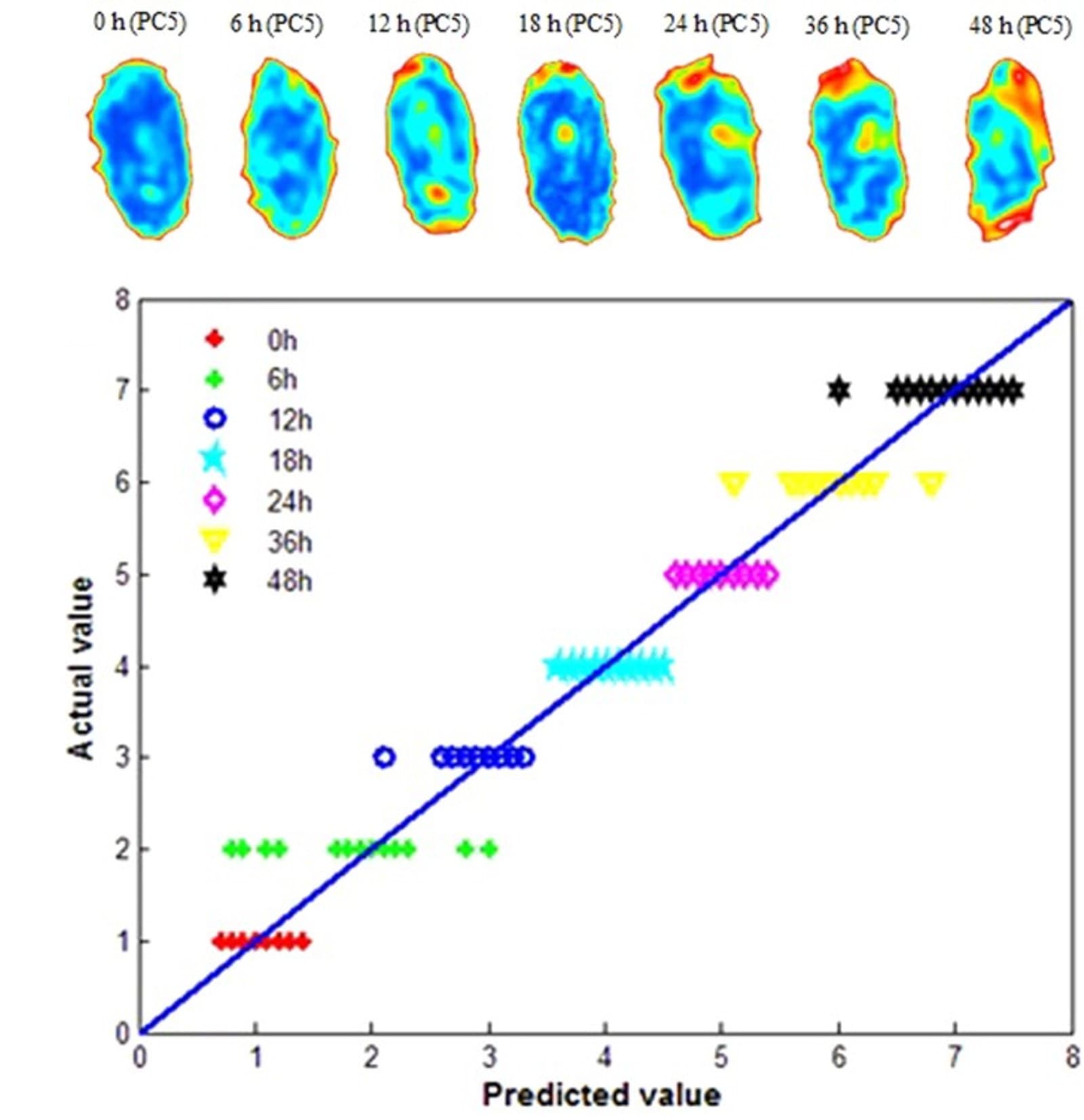 THz images of a wheat seed from 0 to 48 hours of germination and a predicted-versus-actual germination-stage scatter plot