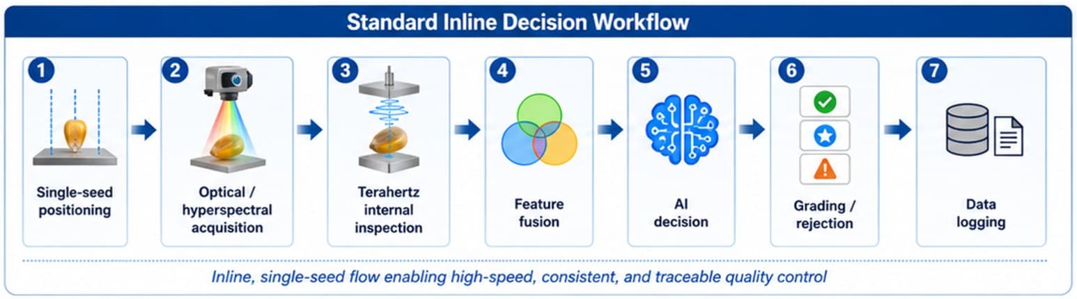 Seven-step inline decision workflow: single-seed positioning, optical / hyperspectral acquisition, terahertz internal inspection, feature fusion, AI decision, grading / rejection, data logging
